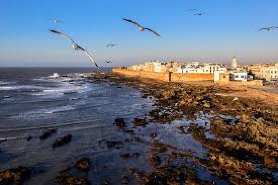 Excursion Essaouira